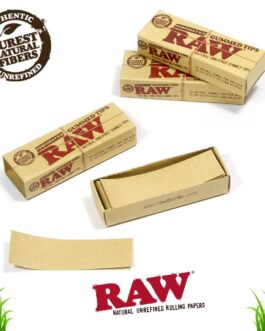 RAW | Perforated Gummed Natural Tips | Bundle of 3