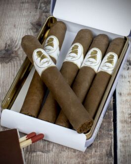 Davidoff Winston Churchill Petit Panatela Cigars (The Raconteur) – Pack of 5