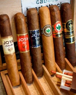 Joya de Nicaragua Robusto 6 Cigar – Sampler Box